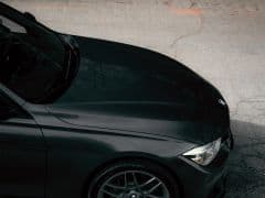 BMW 3 серии VI (F3x) Рестайлинг Дикий