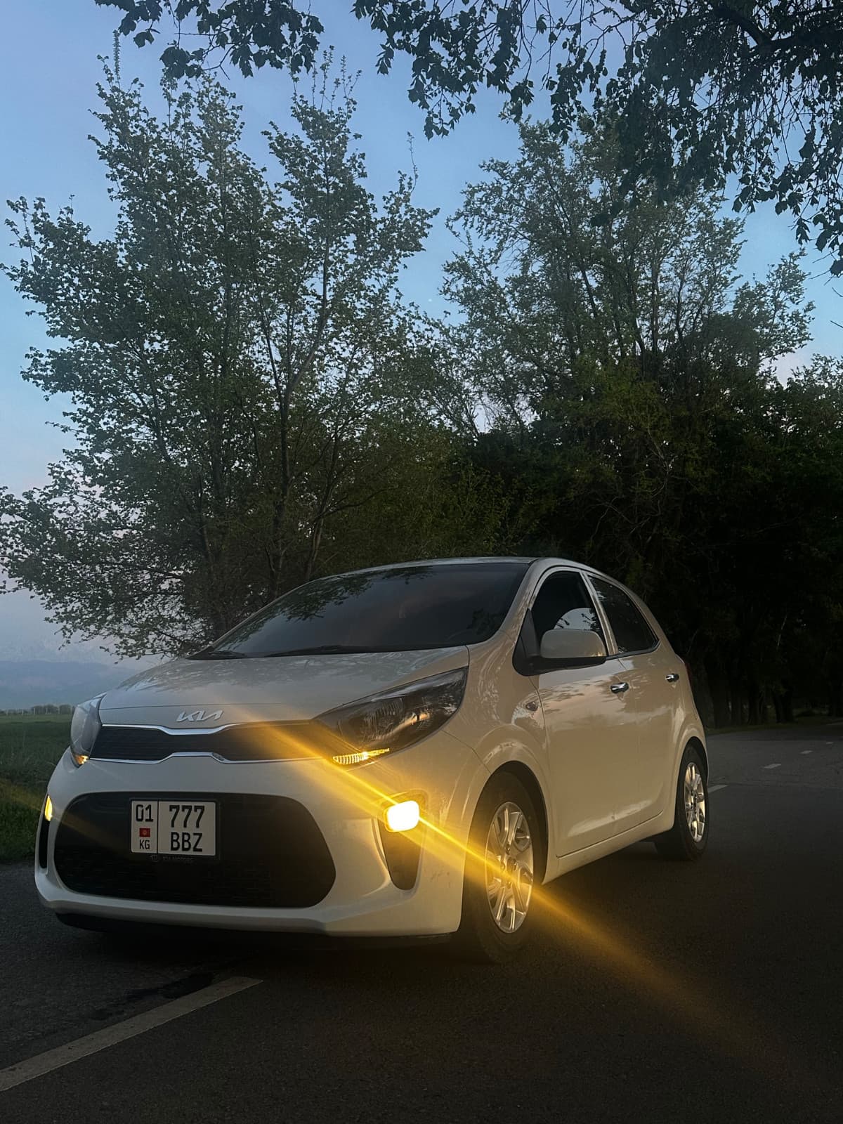 Post Image