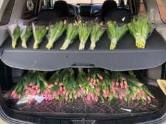 Car Image Blur