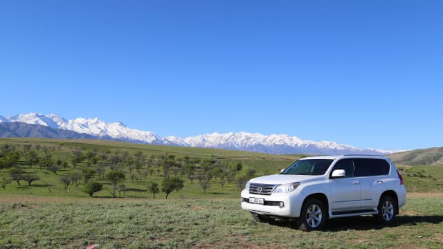 Lexus GX II Avalanche