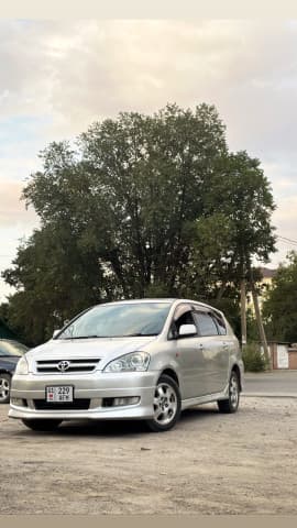 Toyota Ipsum II (M20) Серебрянка