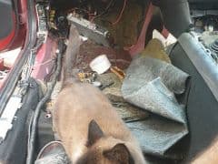 Car Image Blur