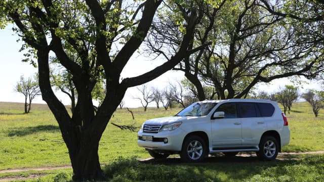 Lexus GX II Avalanche