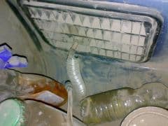 Car Image Blur