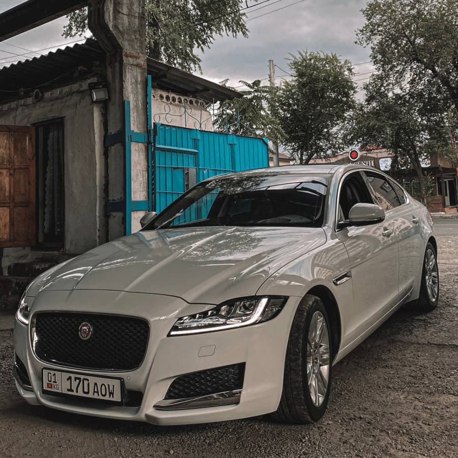 Jaguar XF II Киса