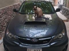 Car Image Blur