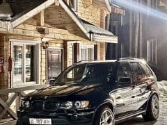 BMW X5 I (E53) Бульдог