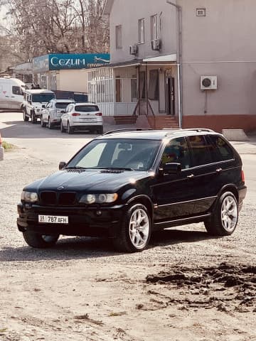 BMW X5 I (E53) Бульдог