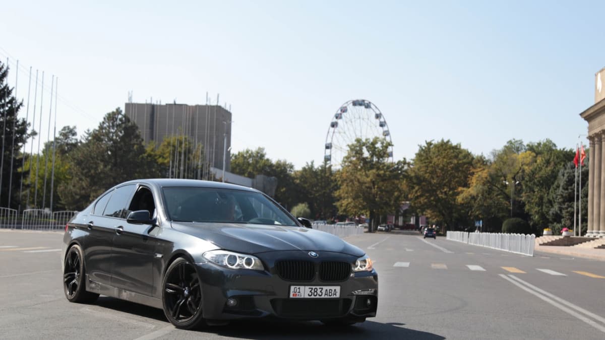 BMW 5 серии VI (F10/F11/F07) WiS