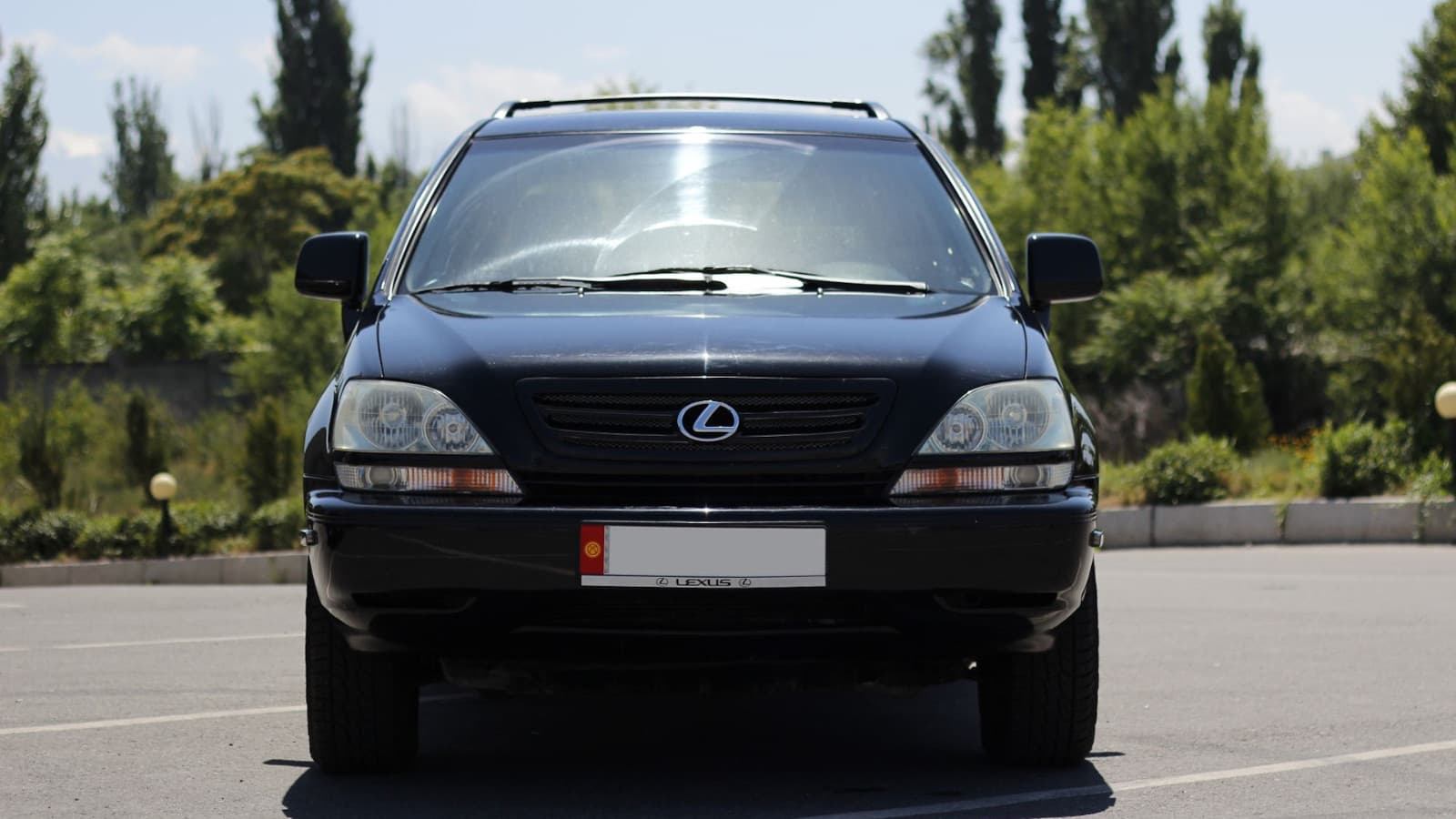 Lexus RX I Rexus