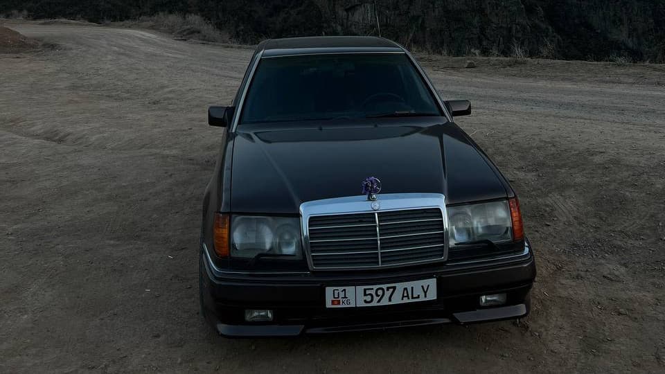 Mercedes-Benz E-Класс I (W124) Werewolf