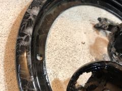 Car Image Blur