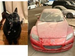 Car Image Blur