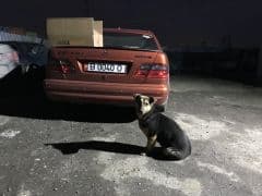 Car Image Blur