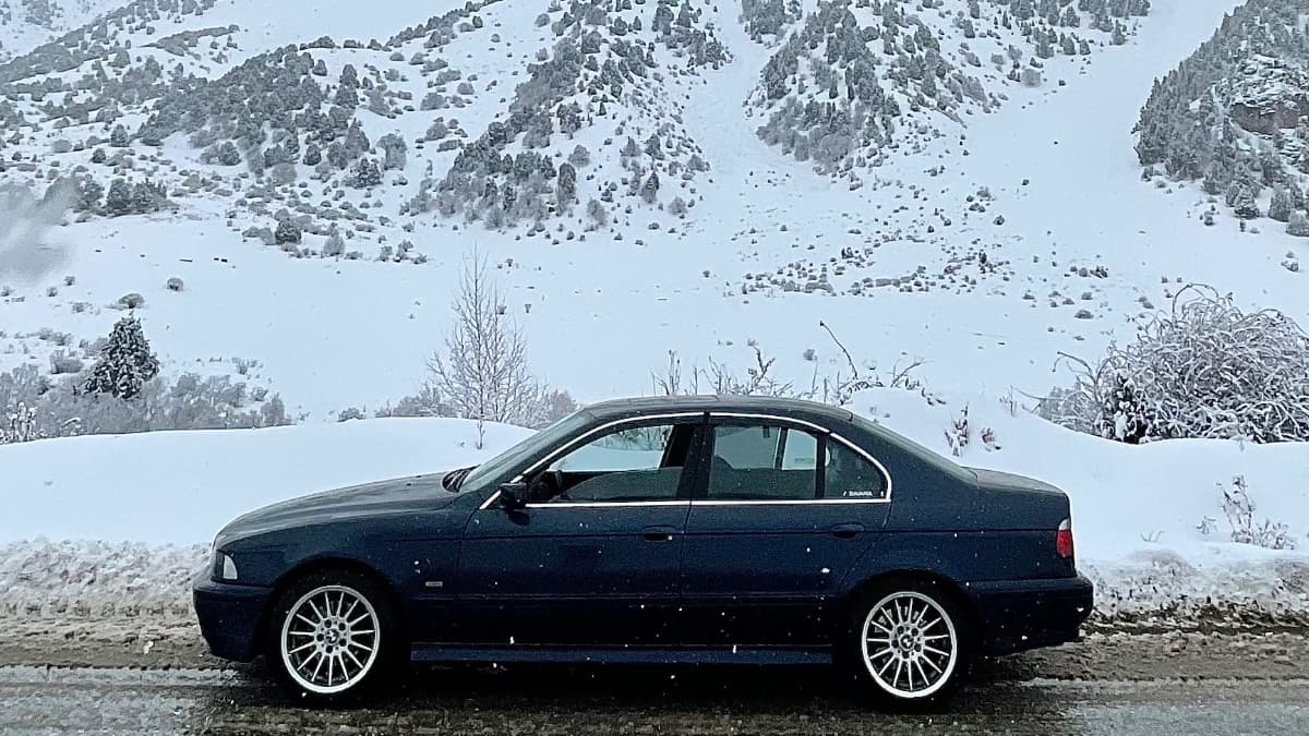 BMW 5 серии IV (E39) Рестайлинг Mamba🐍