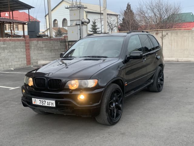 BMW X5 I (E53) Бульдог