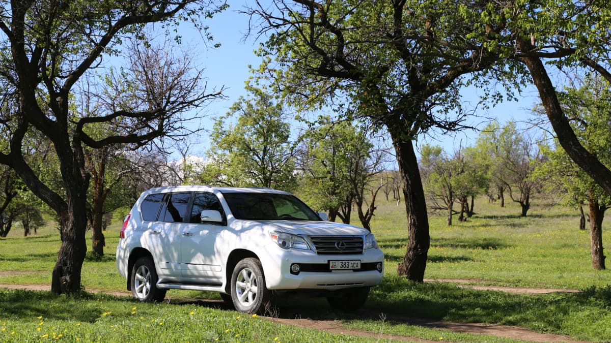 Lexus GX II Avalanche