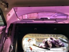 Car Image Blur