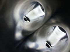 Car Image Blur