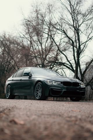 BMW 3 серии VI (F3x) Рестайлинг Дикий