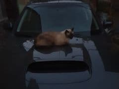 Car Image Blur
